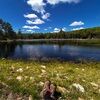 mossandmeadows7